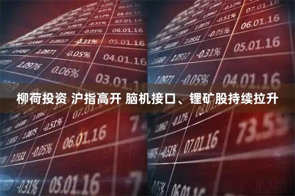 柳荷投资 沪指高开 脑机接口、锂矿股持续拉升