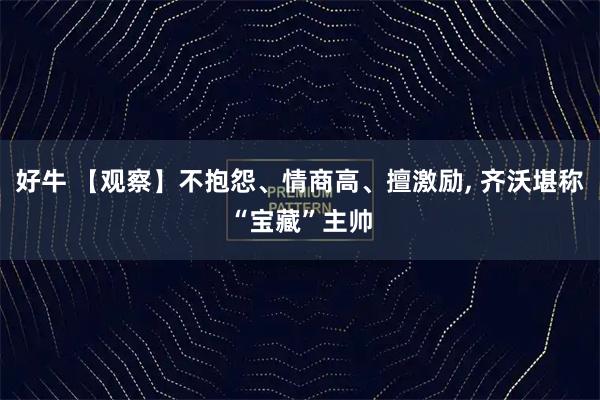 好牛 【观察】不抱怨、情商高、擅激励, 齐沃堪称“宝藏”主帅